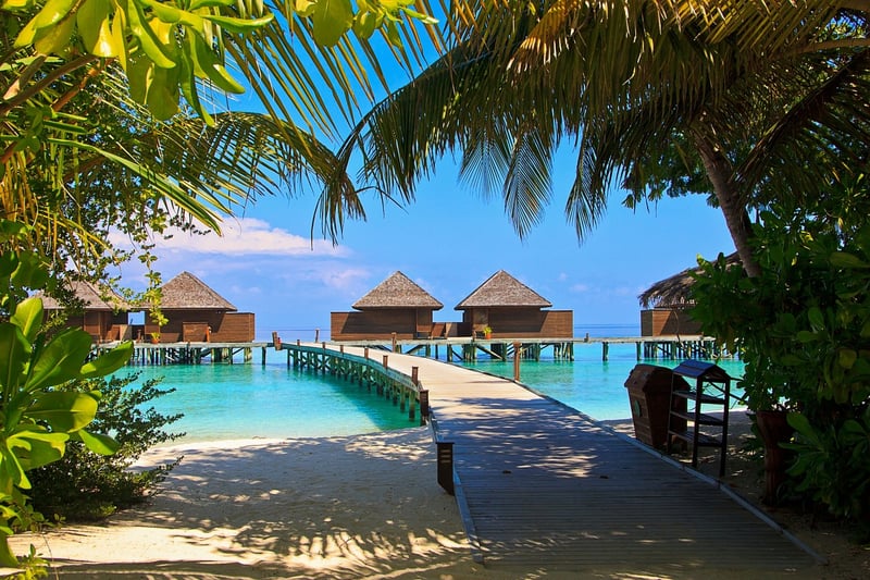 Tropical Paradise