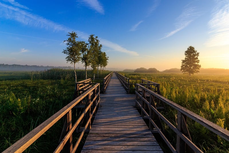 Pier overlooking the sea